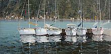 Yachts In Bay Of Kotor, Montenegro - oil, canvas