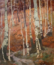 Birch Trees - oil, canvas