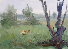 Meadow - oil, canvas on cardboard