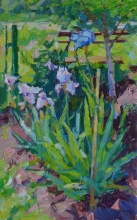 Irises - oil, cardboard